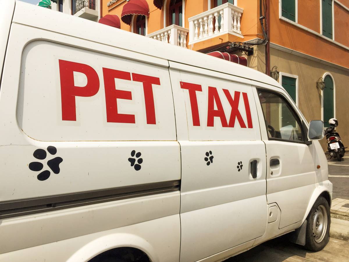 Vet Visit Made Easy with Pet Taxi Service